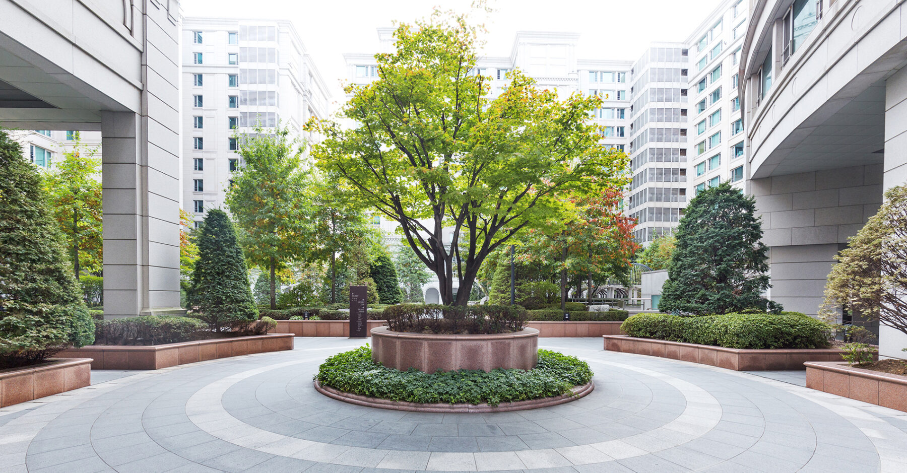 WOODY PLUS ウッディプラス、東京都、江東区、伐採 剪定 草刈 庭の手入れ、ガーデン、DIY