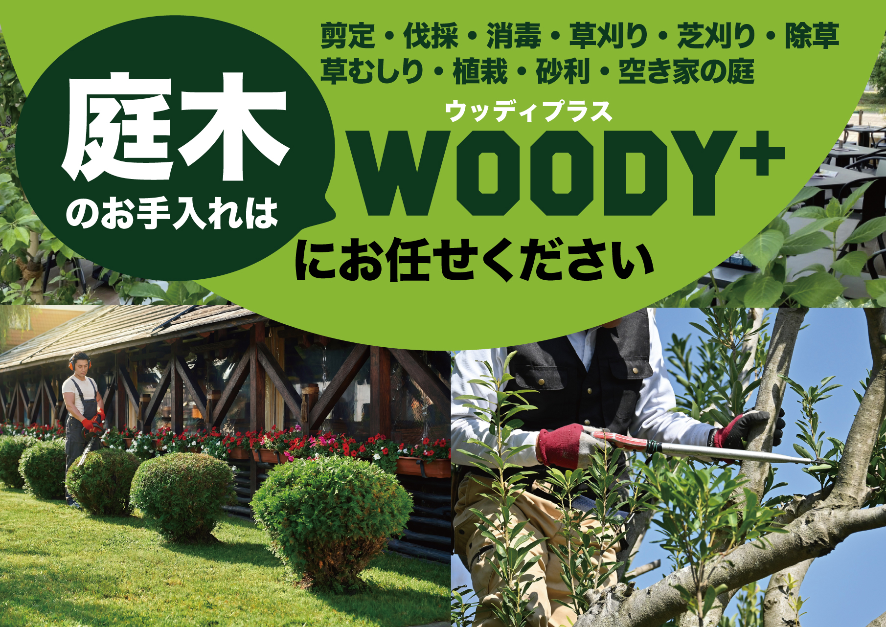 WOODY PLUS ウッディプラス、東京都、江東区、伐採 剪定 草刈 庭の手入れ、ガーデン、DIY